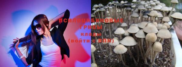 спайс Алексеевка