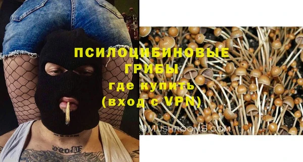 бошки Алексин