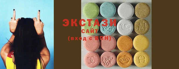 дживик Няндома