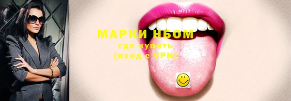 дживик Няндома