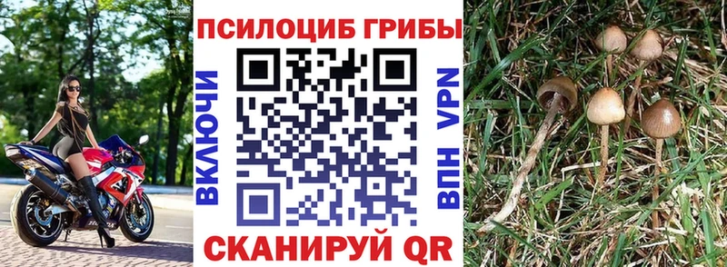 Галлюциногенные грибы прущие грибы  hydra как зайти  Лагань 